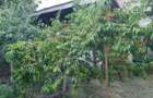 De Vanzare Casa Familiala In Centrul Orasului Tasnad - 5
