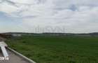 Teren intravilan Magurele 16573 mp - 15 EUR mp - Dubla deschidere - la