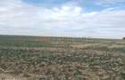 Ferma Agricola 1.350 HA Grad de Comasare 9697%, Jude?ul Arad - 6