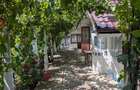 Casa cu livada si teren 1.947 mp teren, langa Husi