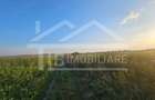 Teren intravilan, 1476 mp, Zona Ungheni - 3