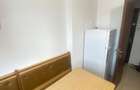 Apartament 2 camere Bucsinescu - 8