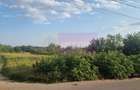 VANZARE TEREN 2150 MP IN SAT TEISORI (GR) - 8