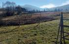 Teren de vanzare in Bucovina - 1
