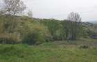 Vand 560 mp Lomb 14000 euro - 4