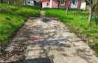 UAT Iasi - Trecatoarea Paun - Teren intravilan Bucium 750mp - 3