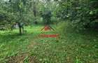 Casa in Campina--59.000 e