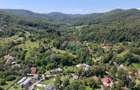 Teren Intravilan 8.277 mp Provița de Jos – Utilități, Râu & Pădure - 1