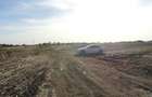 Teren 53.500 mp la iesirea din Sanpaul spre Sofronea, F.S. la DJ