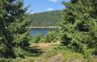 Teren 5.000 mp la Lacul Belis-Fantanele - 6