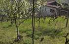 Teren intravilan suprafata 600mp in Blejoi - 7