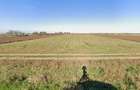 vand teren Luciu 1,12 ha cu 47 m deschidere la DJ 214A - 5