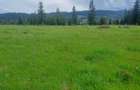 Teren de vanzare 49246 mp Neagra Sarului, comuna Saru Dornei, la 15 km de Vatra Dornei - 5