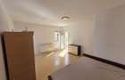 Duplex de inchiriat,110 mp utili ,350 m teren ,zona Muzeul Apei - 12