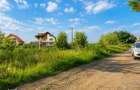 Teren intravilan 10.000 mp, parcelabil, plan, acces asfaltat, Bod, Bra - 7