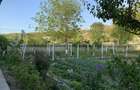 Vand sau schimb casa ultracentral 150 mp si teren 2166 mp in localitatea Bestepe Tulcea - 3