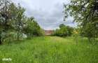 Viscri -Casa saseasca autentica in Viscri (UNESCO) | Oportunitate rara - 3