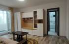 3 CAM PODU ROS PALAS PRIMAVERII PASAPOARTE PRIMA INCHIRIERE RENOVAT - 6