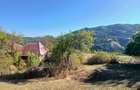 2 Case + teren 500 mp, C.F. in Muntele Rece, 22000 euro - negociabil