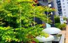 Studio Premium de Vanzare | Cortina North | Investitie | Chirias Acti - 6