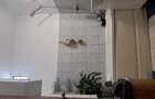 Apartament 2 camere cu balcon, Tomis II zona lini?tita ?i multa verdea?a Pre?: 87.500