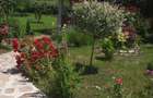 Valenii de Munte- sat Ogretin - 4