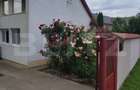 Casa de vanzare Mitocul Dragomirnei - 8