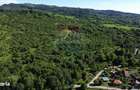 Teren de vanzare in Campulung-Muscel / Strada Ion Giurculescu - 1