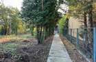 vand casa mare cu teren mare aprope de padure Timiosoara Lipovei - 7