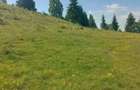 Vand teren intravilan. - 5