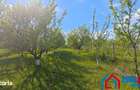 Teren intravilan 1000 mp in Sibiu Daia Noua - 2