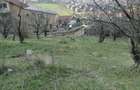 Teren intravilan , Bucium Barnova - 3