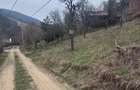 6000 MP teren intravilan, sat Bistrita, 9 Eur/MP - 1
