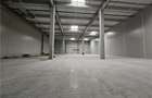 Spatiu Industrial - 3500 mp - Logistica - Productie - Depozitare - Distributie - 5