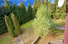 Vila cu teren 3389 mp in Busteni, zona Piatra Arsa - 2
