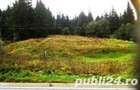 teren Predeal, intravilan, 10.000 mp - 3