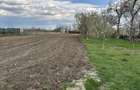 De vanzare casa in Cociuba Mare, jud Bihor, toate utilita?ile la poarta, inclusiv gaz - 1