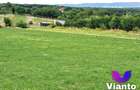 Oportunitate-Teren Extravilan 6200 mp cu vedere Panoramica-Tropinii No - 6