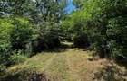 Teren Padure 6857 mp. intravilan Com Bujoreni-Valcea