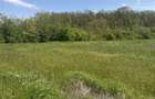 Teren de vanzare Ciofliceni (Snagov) | Locatie excelenta pentru investitie sau locuinta. - 4