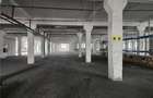 Spatiu Industrial - 6800 mp - Productie - Depozitare - Distributie - Orastie - 12