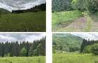Teren intravilan- 10200 mp, Valea Doftanei - 3