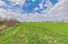 Teren extravilan, 1 ha, in ora?ul Sebi?, Arad - 1