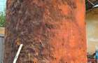 Vand hale frig (1200 mp)+teren intravilan 6400 mp (3000 curte betonata) in Carani (intre TM si AR )