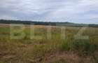 Teren de vanzare, 2.500 mp, Suta Olteni