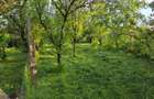 Casa cu 4 camere, mobilata, Mosteni, 35000 EUR - 17