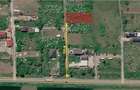 Direct proprietar 1000 mp com Branesti, sat Islaz - 1