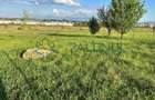 Teren intravilan de vânzare – 440 mp, împrejmuit, Sibiu - 3