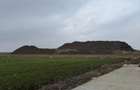 Teren intravilan Calea Sagului 10.000 mp