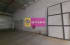 Spatiu Logistic langa Bucuresti Hala 5000 mp - 57